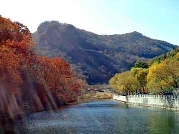 新澳门二四六天天开奖，梅山牌减肥神茶